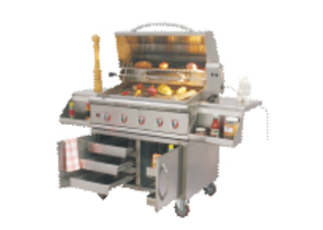 Gas outdoor barbecue pits